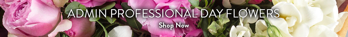 Admin Professional Week